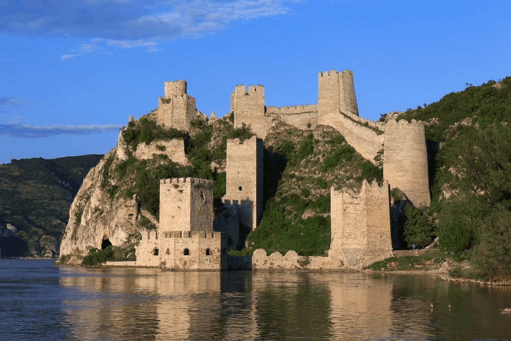 Discover the World with Expert Guidance